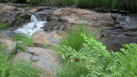 Mountain river with small waterfall and ferns in the foreground Stock Footage 162792060