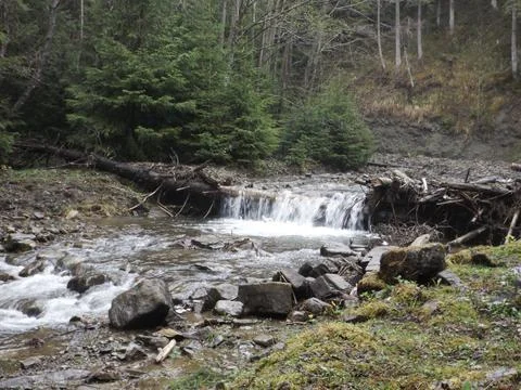 Mountain River Small Waterfall Fallen Trees Forest Landscape Foto stock