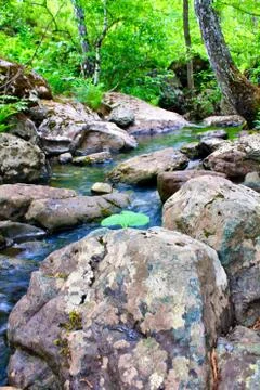 Mountain river - a small waterfall on a river with crystal clear water that Stockfoto's