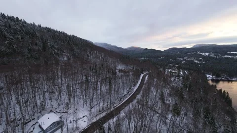 Mountain river with snow covered pines Stock Footage 321179275