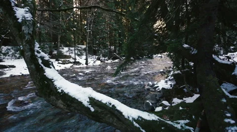 Mountain River in Snow Forest Stock Footage 45272937