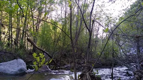 Mountain River with sound Video stock 151494845