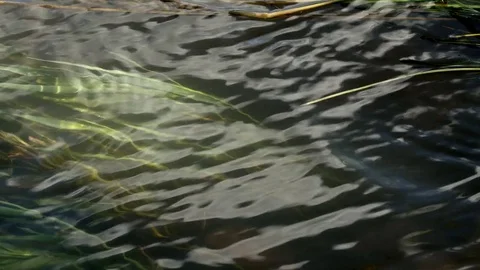 Mountain river spreads out Video stock 80320184