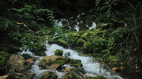Mountain river spring with flows on rocks inside mysterious forest Stock-Footage 259821928