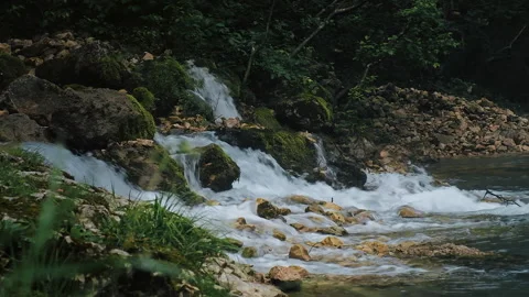 Mountain river spring with flows on rocks inside mysterious forest Stock Footage 265138181