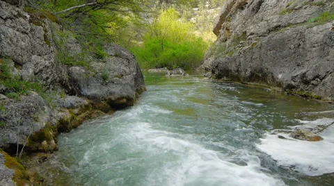 The mountain river in the spring Stock Footage 49754145