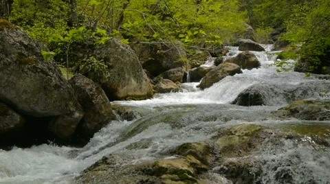 The mountain river in the spring Video stock 51692856