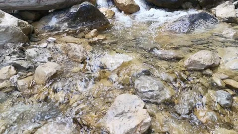 Mountain river in the spring forest 스톡 동영상 140333393