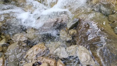 Mountain river in the spring forest Video stock 144468808