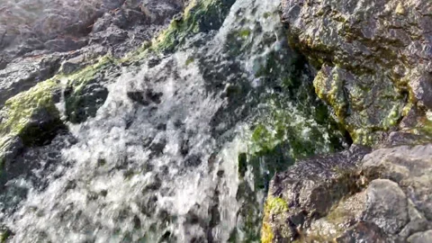 Mountain river in the spring forest. Stock Footage 224369270