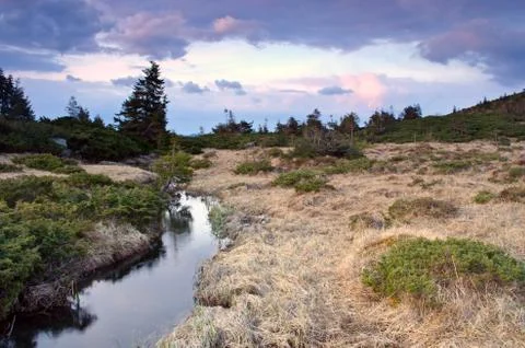 Mountain river in spring landscape Stock Photos