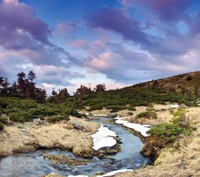 Mountain river in spring landscape Stock Photos