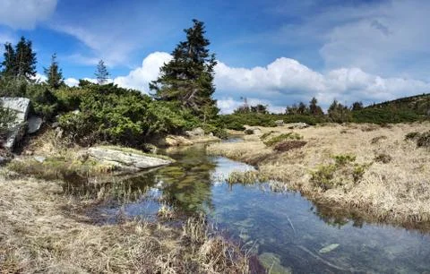 Mountain river in spring landscape Stock Photos