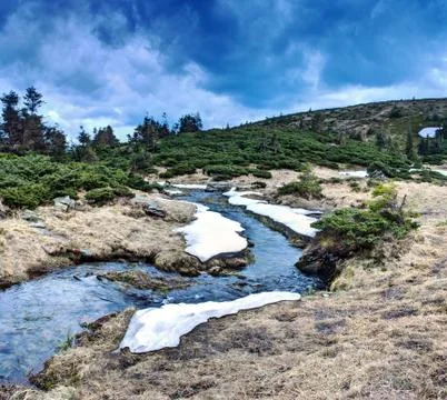 Mountain river in spring landscape Stock Photos