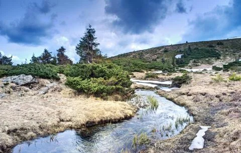 Mountain river in spring landscape Stock Photos