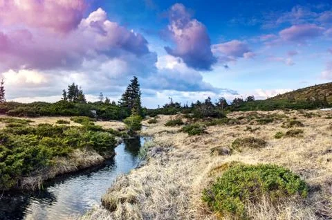 Mountain river in spring landscape Stock Photos