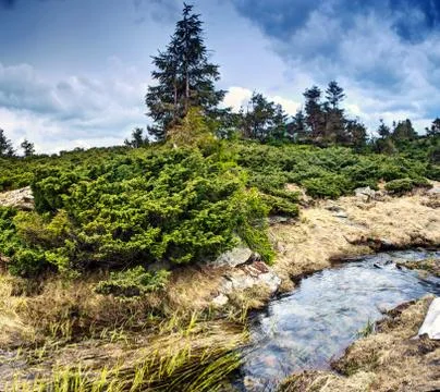 Mountain river in spring landscape Stock Photos