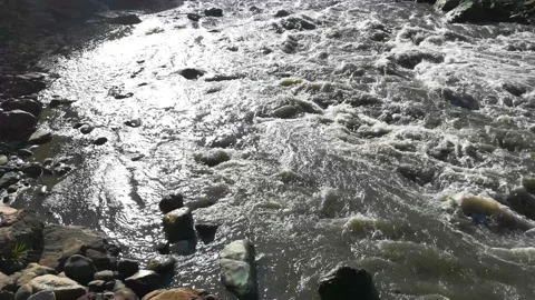 Mountain river in the spring. Plenty of water. Nature. Stock Footage 154338434