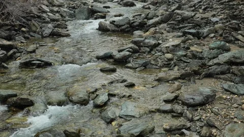 Mountain river in spring. Streams of a mountain river run over boulders Stock Footage 260560506