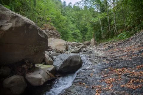 Mountain river in the stone bed Stock Photos
