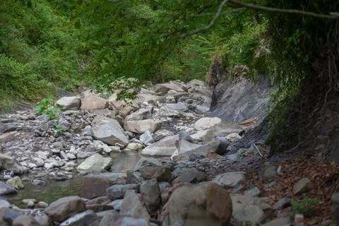 Mountain river in the stone bed Stock Photos