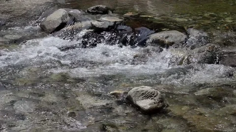 Mountain river with stone bottom Stock Footage 95329549
