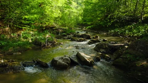 Mountain river with stone rapids and splashes at sunny day Stock Footage 329571213