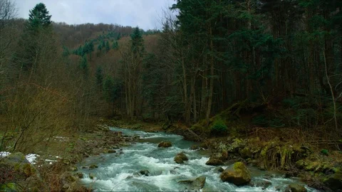 Mountain river with stones, dense forest, long shot Video stock 84992012