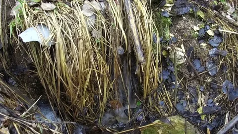 Mountain river stones Video stock 73184587