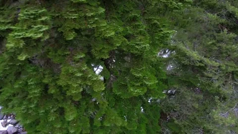 Mountain river stones Видео 74051288