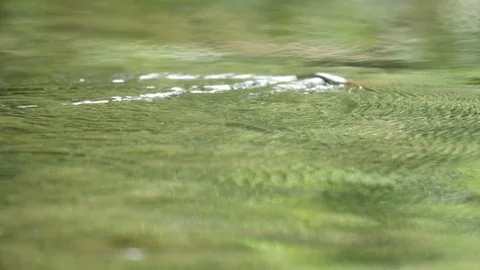 Mountain River with Stones Stock Footage 85966285