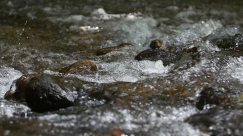 Mountain River with Stones Stock Footage 86063210