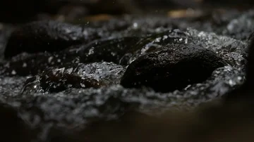 Mountain River with Stones Stock Footage 86094701