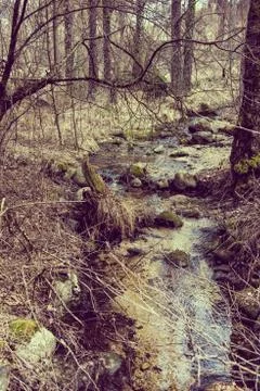 Mountain river stones Fotos Stock