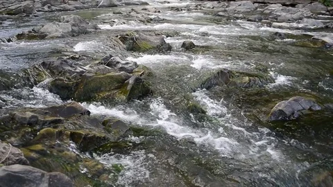 Mountain River with Stones with Transparent Water Stock Footage
