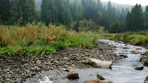Mountain river. Stony bank. 動画素材 99340039