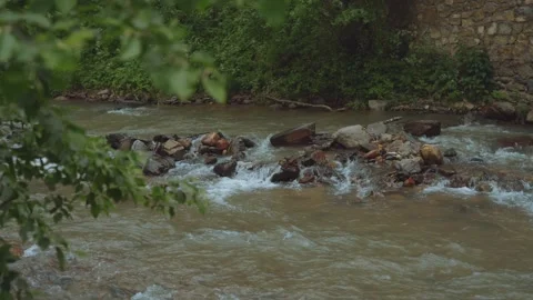 Mountain river, stormy stream, stream in nature, nature of the Caucasus Stock Footage 288632778