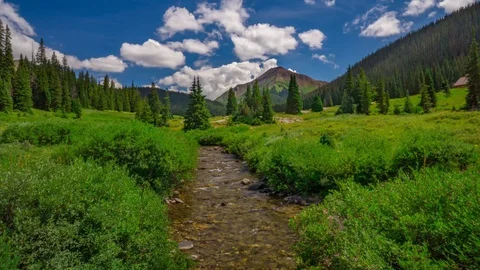 Mountain River Stream in The back country Fly Fishing Time Lapse, Timelapse, Stock Footage 129351838