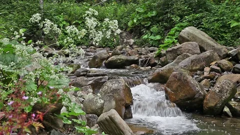 Mountain river stream of clean water among the rocks Stock Footage 76464226