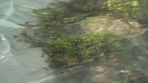 Mountain river stream close up Stockbeeldmateriaal 85063467