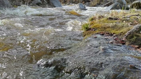Mountain River Stream Flow. Stock Footage 166225065