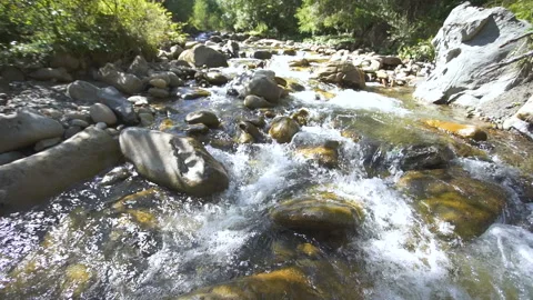 Mountain river, stream flow, water and stones. Beauty of nature, slow motion, la Video stock 121702651