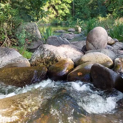Mountain river stream flowing over rocks in summer forest Stock Footage 333481078
