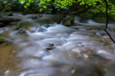 Mountain river - stream flowing through thick green forest, Bistriski Vintgar Stock Photos