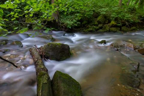Mountain river - stream flowing through thick green forest, Bistriski Vintgar Stock Photos