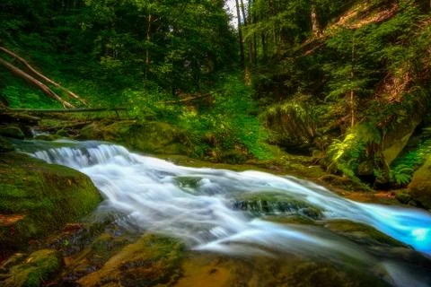Mountain river - stream flowing through thick green forest, Bistriski Vintgar Stock Photos