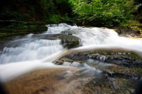 Mountain river - stream flowing through thick green forest, Bistriski Vintgar Stock Photos