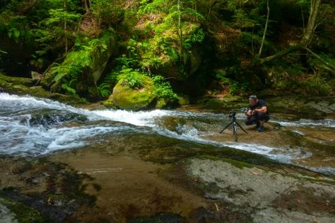 Mountain river - stream flowing through thick green forest, Bistriski Vintgar Stock Photos