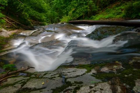 Mountain river - stream flowing through thick green forest, Bistriski Vintgar Stock Photos