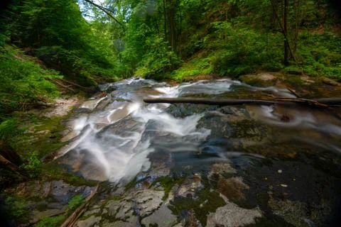 Mountain river - stream flowing through thick green forest, Bistriski Vintgar Stock Photos